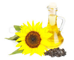 Oil Seeds